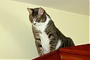 IMG_1674.JPG